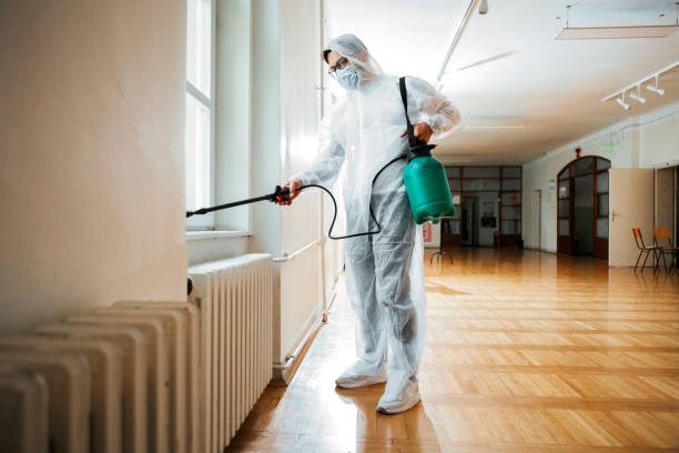 Best Pest Control for Hotels  in Brusly, LA